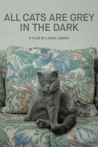 All Cats Are Grey in the Dark movie poster - Rated 6.9/10