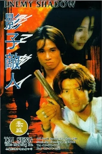 Enemy Shadow movie poster - Rated 4/10