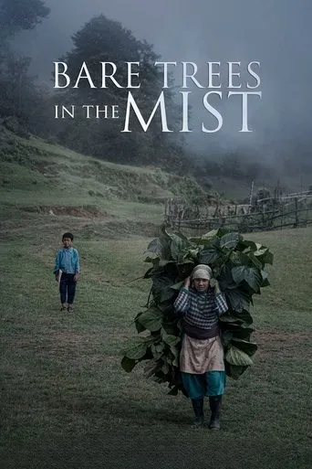 Bare Trees in the Mist movie poster - Entertainment content
