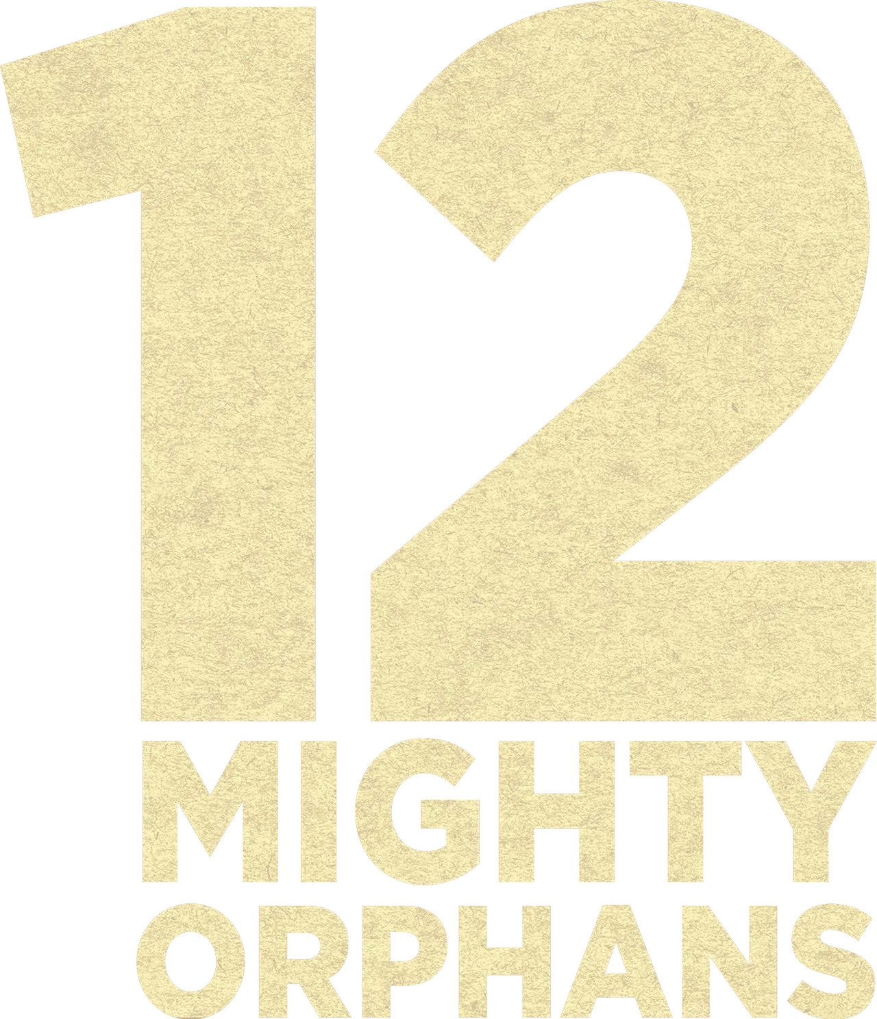12 Mighty Orphans