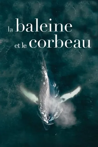 The Whale and the Raven movie poster - Rated 8.7/10