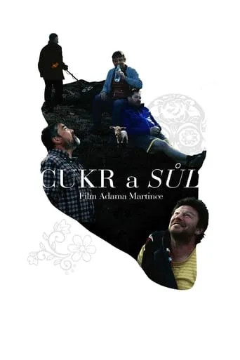 Sugar and Salt movie poster - Rated 5/10