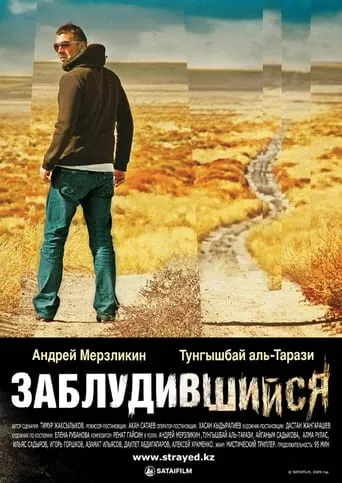 Strayed movie poster - Rated 4/10