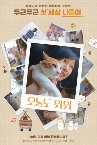 The Journey of the 12 Cats movie poster - Rated 6/10