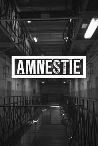 Amnesty movie poster - Rated 6.7/10