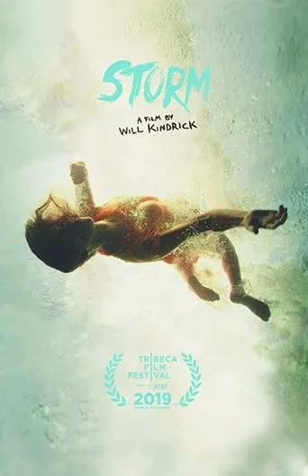 Storm movie poster - Rated 6/10