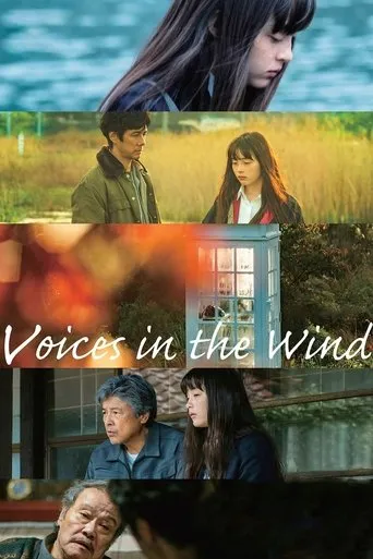 Voices in the Wind movie poster - Rated 7.3/10