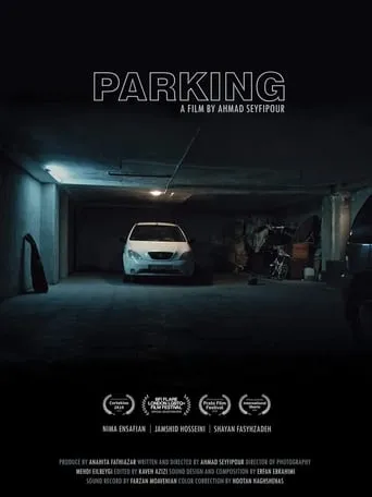 Parking movie poster - Rated 4/10