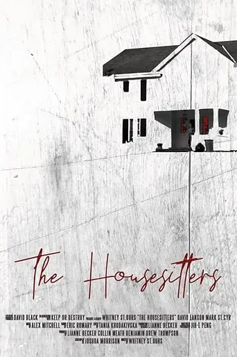 The Housesitters movie poster - Rated 6.5/10