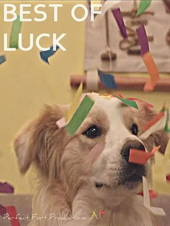 Best of Luck movie poster - Entertainment content