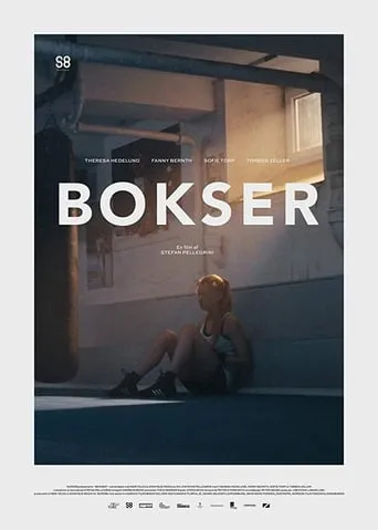 Boxer movie poster - Entertainment content