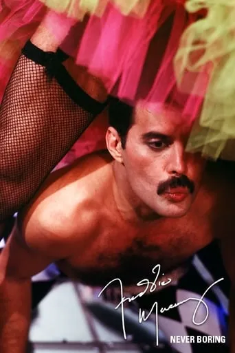 Never Boring - The videos movie poster - Rated 8.3/10