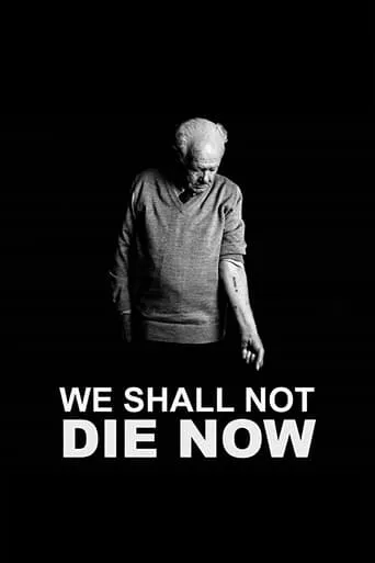 We Shall Not Die Now movie poster - Entertainment content