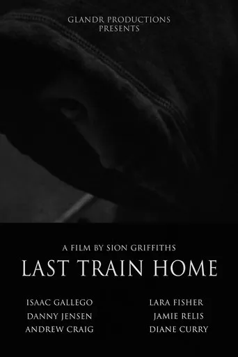 Last Train Home movie poster - Rated 7.5/10