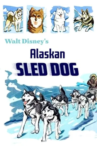 Alaskan Sled Dog movie poster - Entertainment content