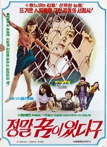 I Really Have a Dream movie poster - Entertainment content