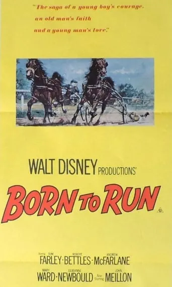 Born to Run movie poster - Entertainment content
