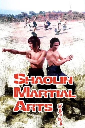 Shaolin Martial Arts movie poster - Rated 6.4/10