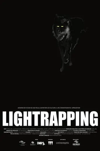 Lightrapping movie poster - Rated 5.3/10