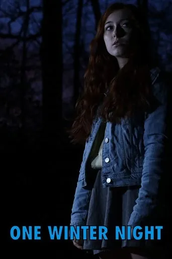One Winter Night movie poster - Rated 3.3/10
