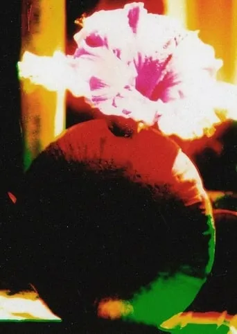 The Room of Chromatic Mystery movie poster - Rated 5/10