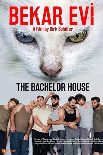 The Bachelor House movie poster - Rated 8/10