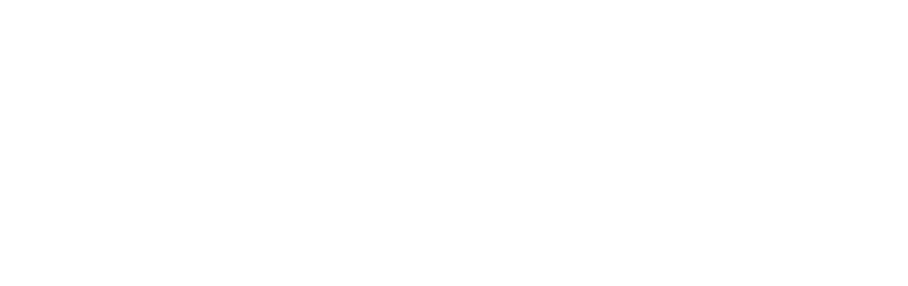 The Protégé