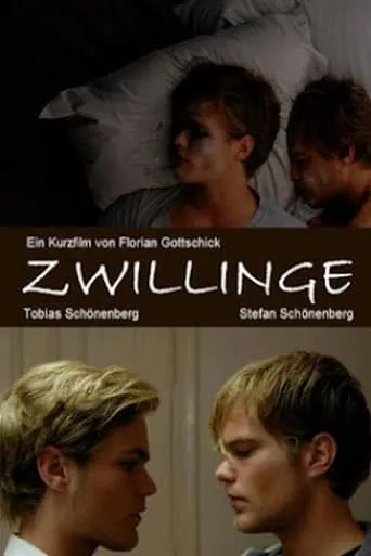 Twins movie poster - Rated 4.3/10