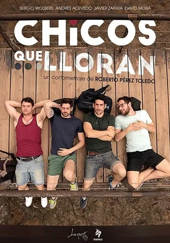 Chicos que lloran movie poster - Rated 6/10