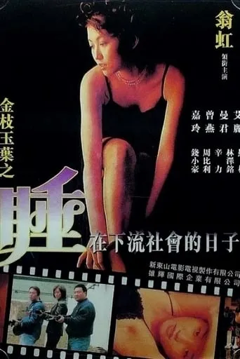 Undercover Girls movie poster - Rated 5/10