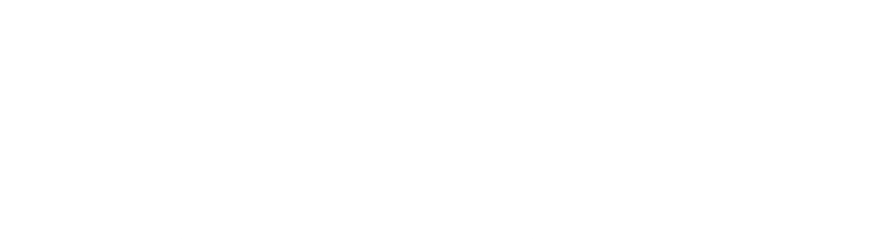 The Killing of Kenneth Chamberlain