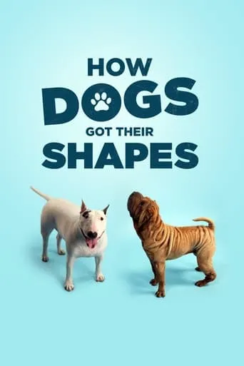How Dogs Got Their Shapes movie poster - Rated 7/10