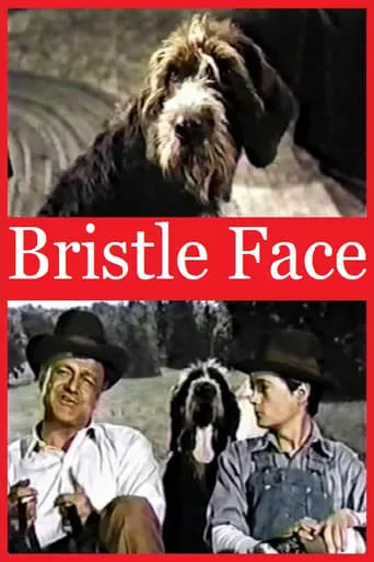 Bristle Face movie poster - Entertainment content