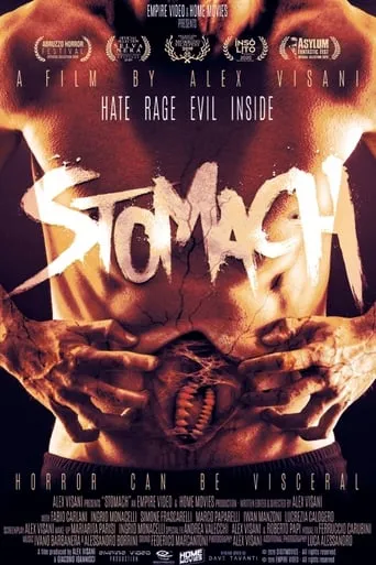 Stomach movie poster - Rated 4.2/10