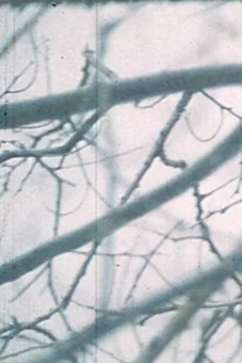 Wintergarden. Hudson River Diary Book: III movie poster - Entertainment content