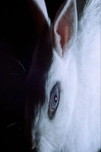 Cheshire Smile movie poster - Rated 8/10