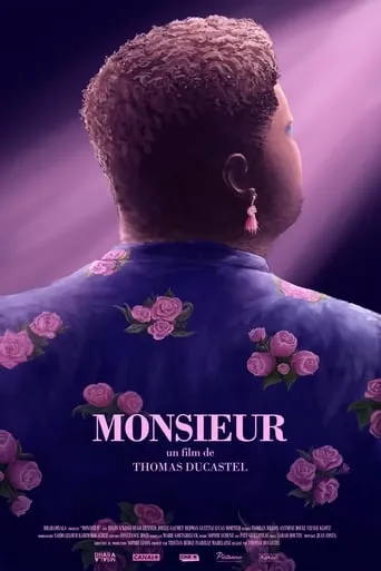 Mister movie poster - Rated 5/10