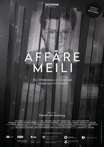 Die Affäre Meili movie poster - Rated 8/10