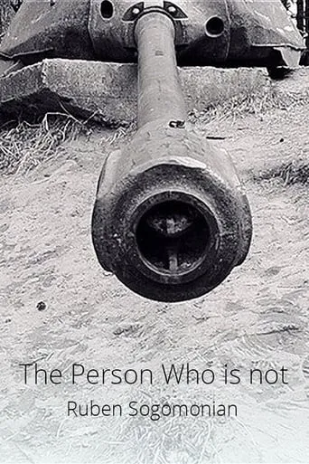 The Person Who Is Not movie poster - Entertainment content