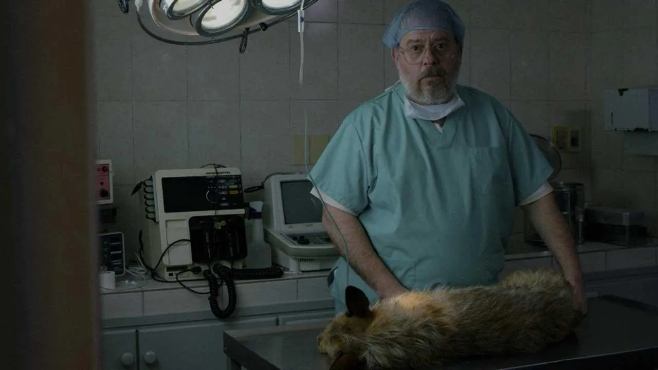 A Dog's Death
