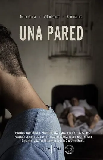 A Wall movie poster - Rated 3.5/10