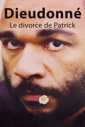 Le divorce de Patrick movie poster - Rated 7.7/10