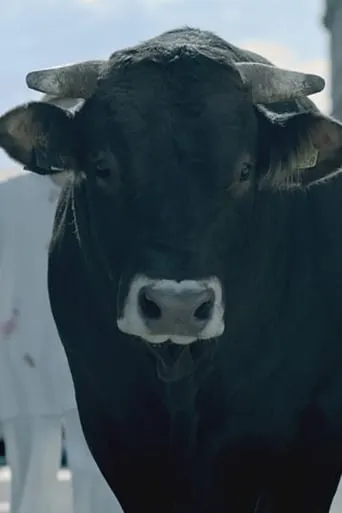 The Bull movie poster - Entertainment content