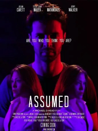 Assumed movie poster - Rated 8/10