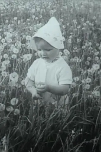 Through the Blooming Linden movie poster - Entertainment content