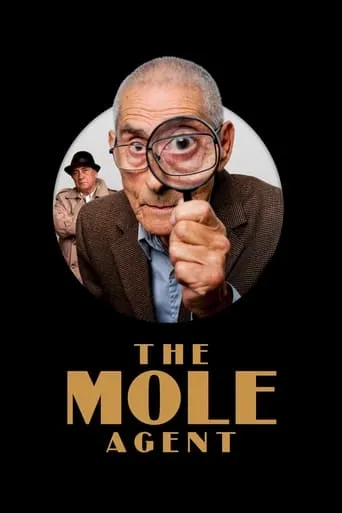 The Mole Agent movie poster - Rated 7.844/10