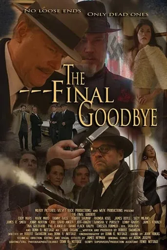 The Final Goodbye movie poster - Entertainment content