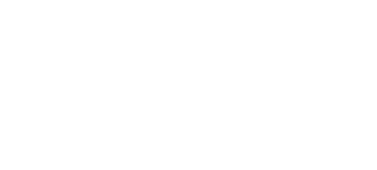 Run for the Sun