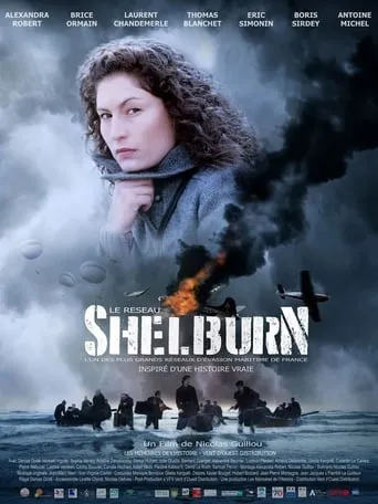 Le réseau Shelburn movie poster - Rated 7/10