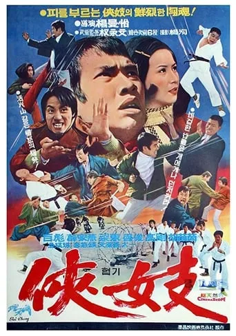 Action Tae Kwon Do movie poster - Rated 2/10
